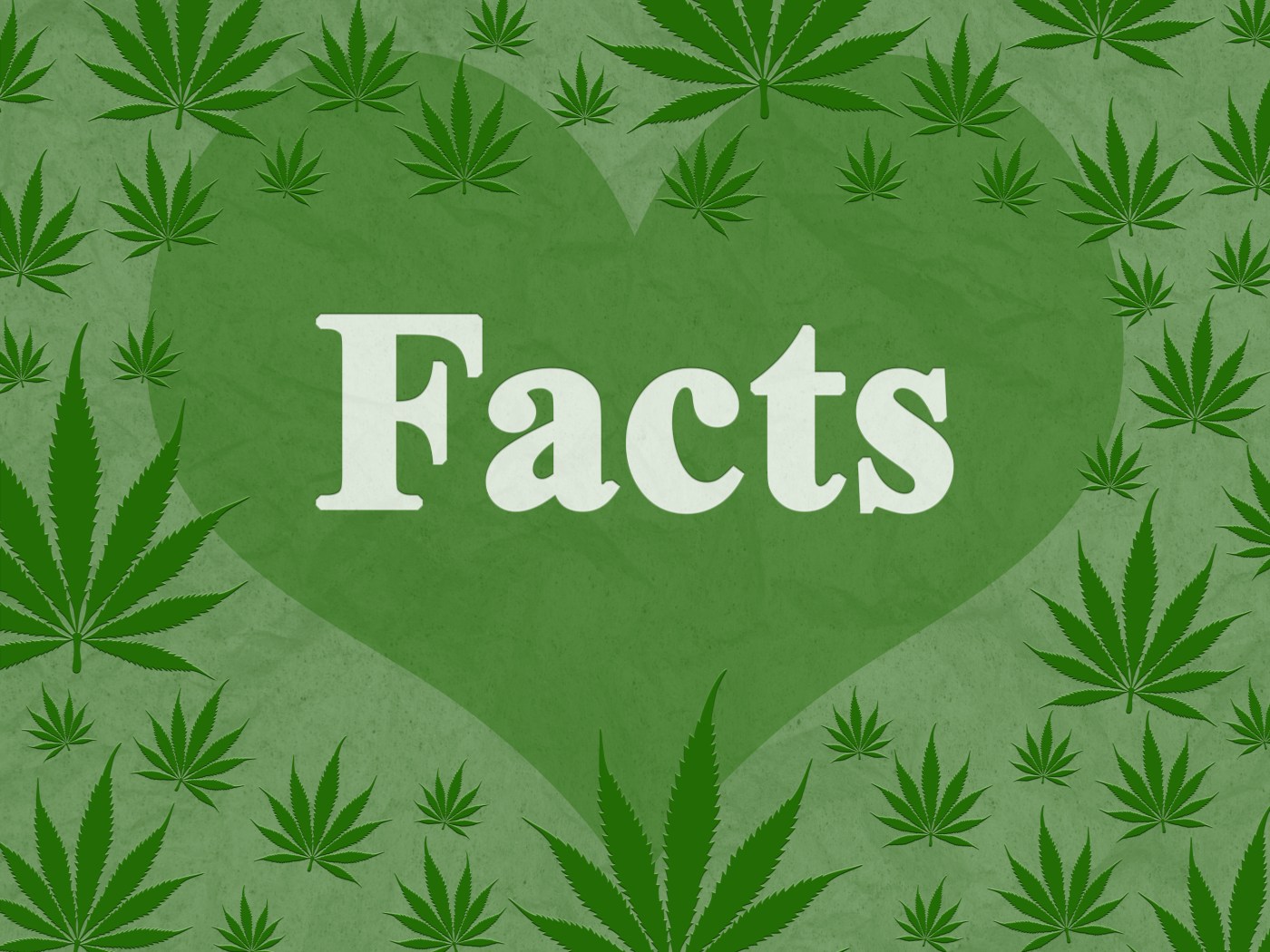 Beyond the Smoke: Surprising Facts About Cannabis You Didn’t Know