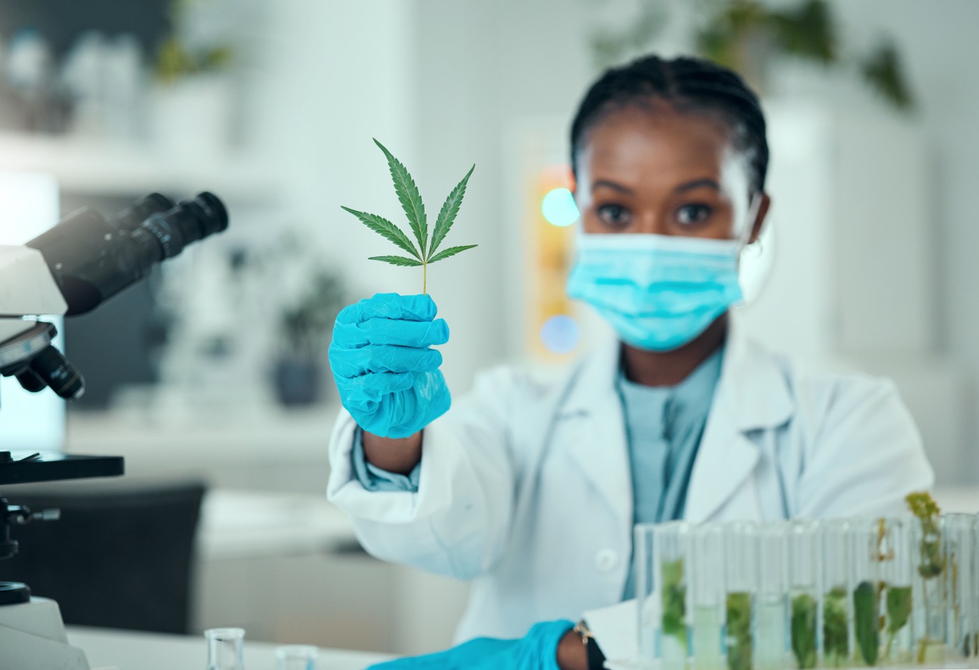 The Origins and Evolution of 4/20: From Counterculture to Mainstream