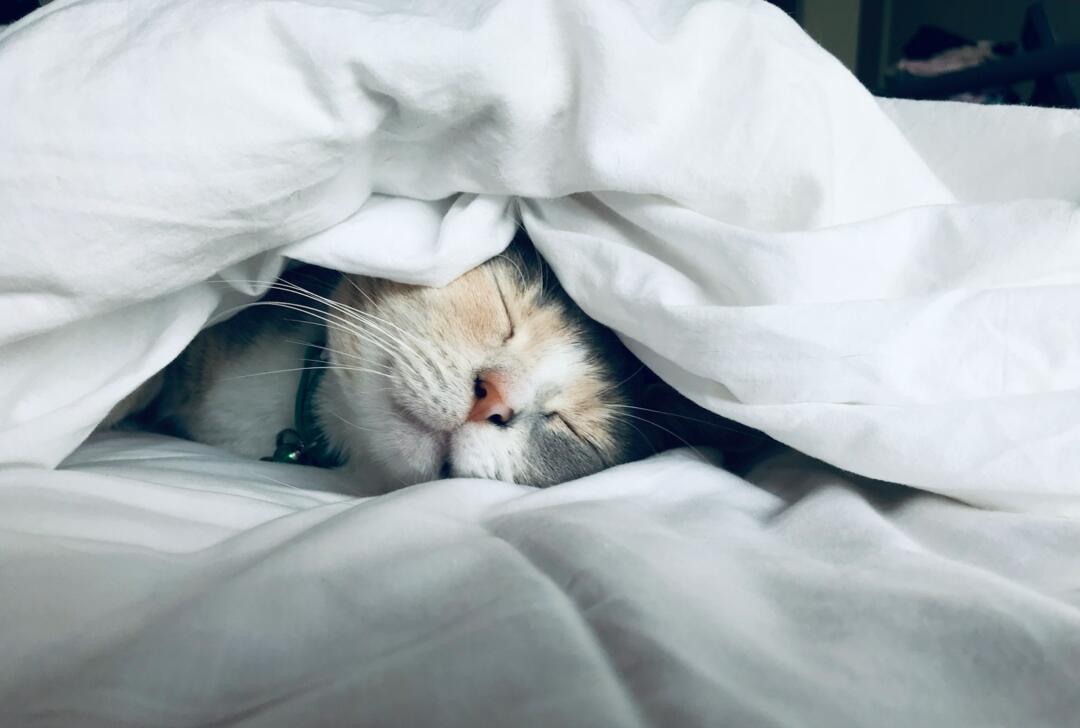 How Hemp Helps You Sleep
