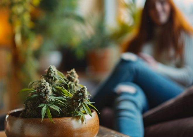 Northern California’s 420 Revelations