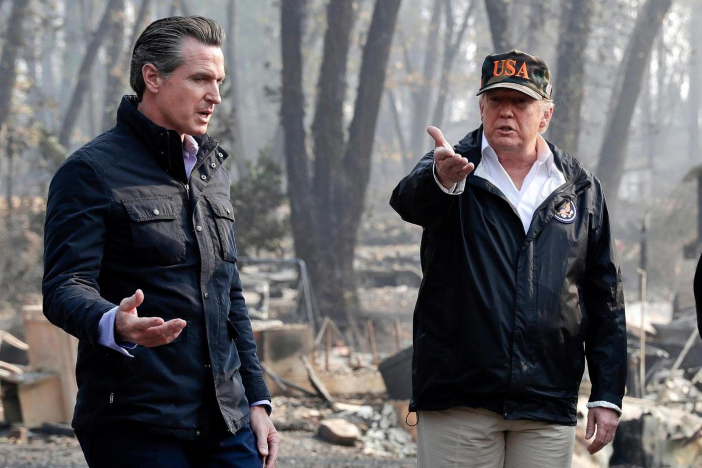 Philp: Is there common ground for Gavin Newsom, Trump on forestry? Timber!