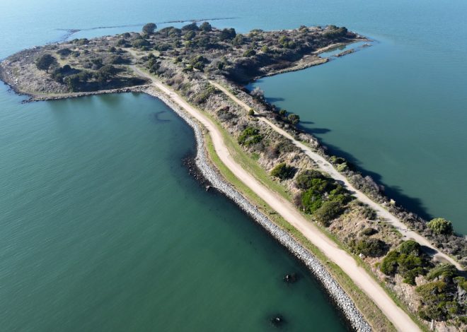 Man charged with abducting woman and driving to the Albany Bulb to rape her