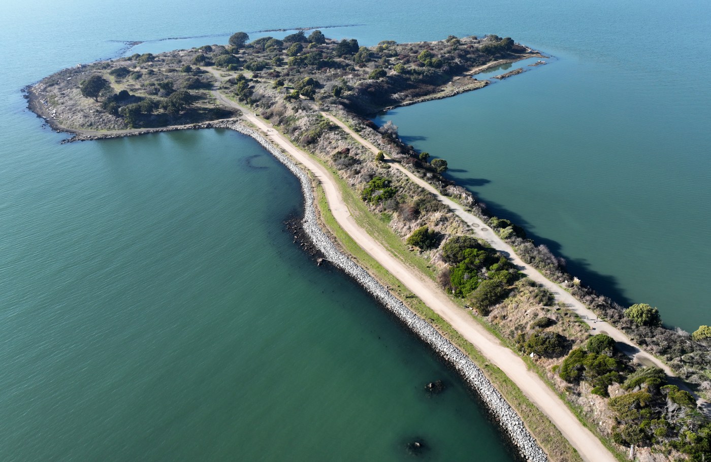 Man charged with abducting woman and driving to the Albany Bulb to rape her