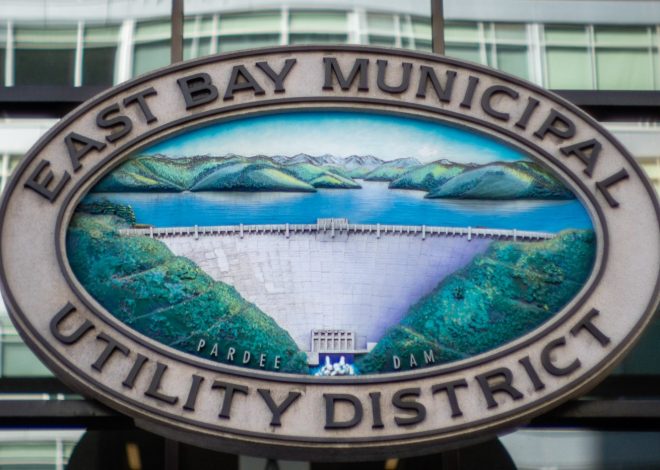 East Bay MUD boardmember accused of racially motivated conduct against Bay Area artist