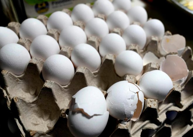 Egg prices increase to record high despite Trump’s predictions
