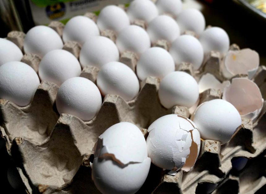 Egg prices increase to record high despite Trump’s predictions