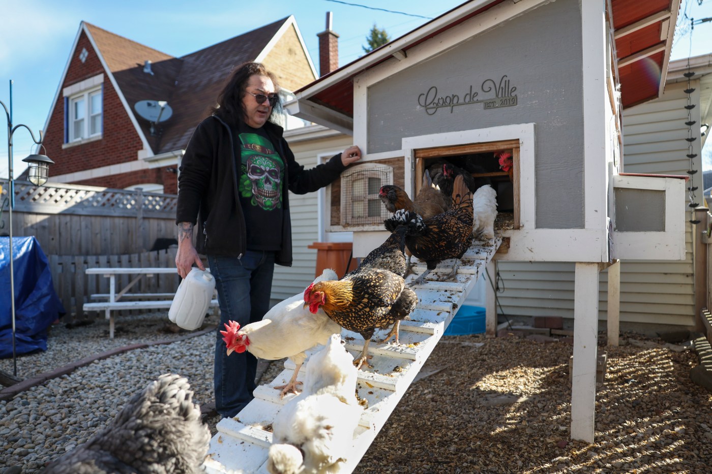 Backyard chickens might not crack high egg prices, but these owners say they’re worth it