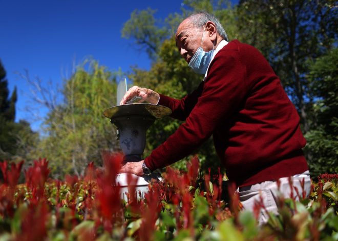 Will this allergy season be the Bay Area’s worst ever?