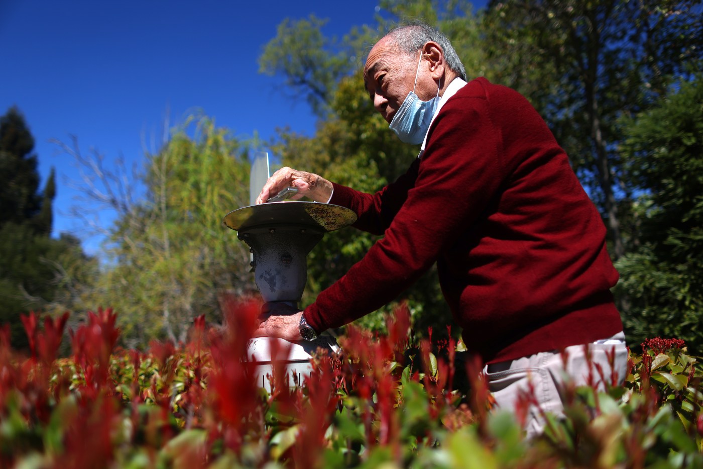 Will this allergy season be the Bay Area’s worst ever?