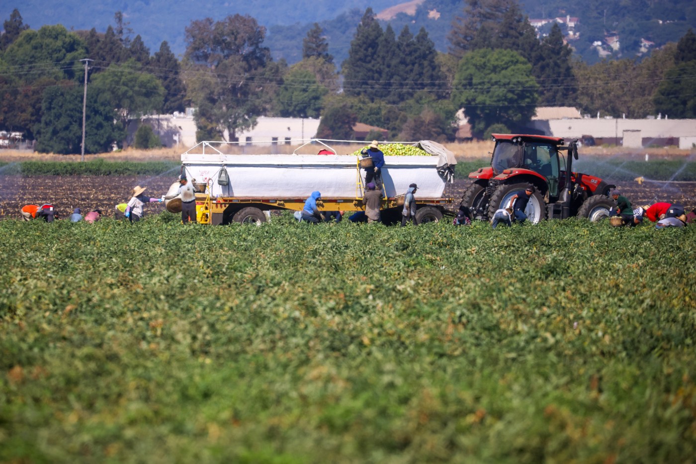 You can learn now when farmers are spraying pesticides near your home. Here’s how.