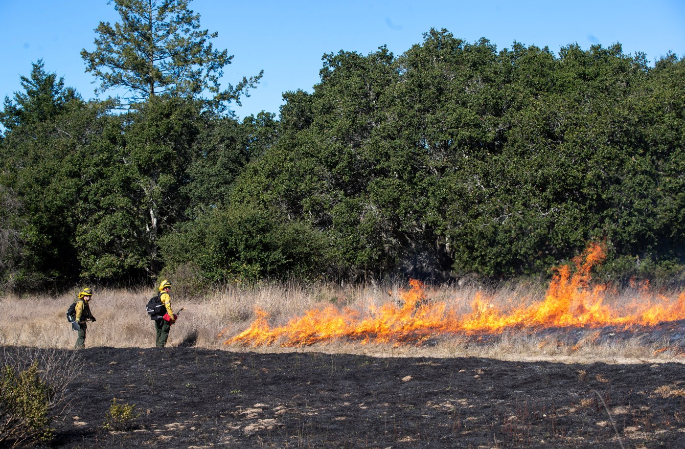 Newsom signs $180 million more for fire prevention, plus slew of Democratic priorities