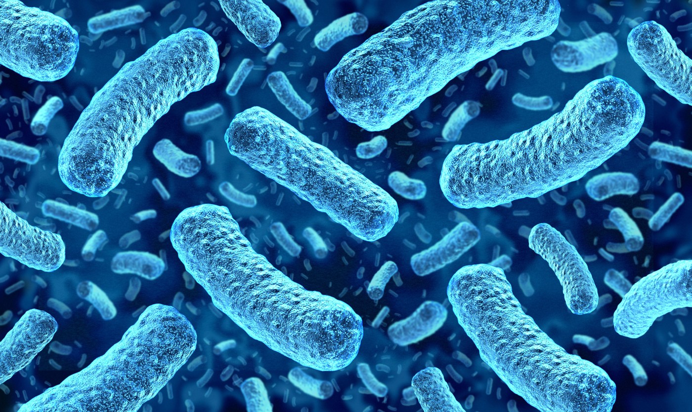 What is listeria? Things to know about the bacteria and how to prevent infection.