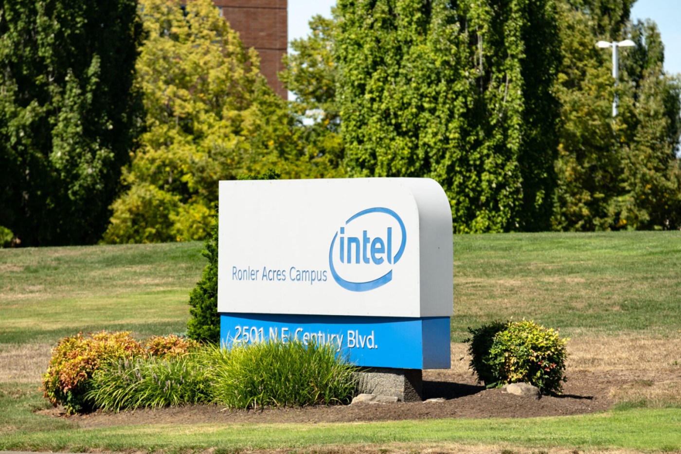 Intel set to announce plans to cut over 20% of staff