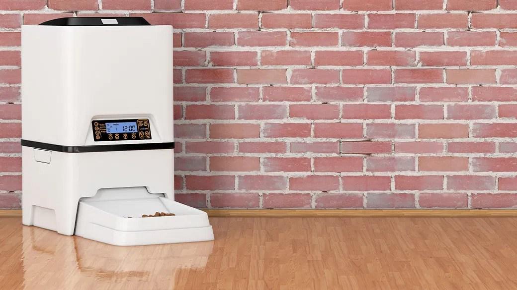 Best automatic dog feeders for busy pet parents