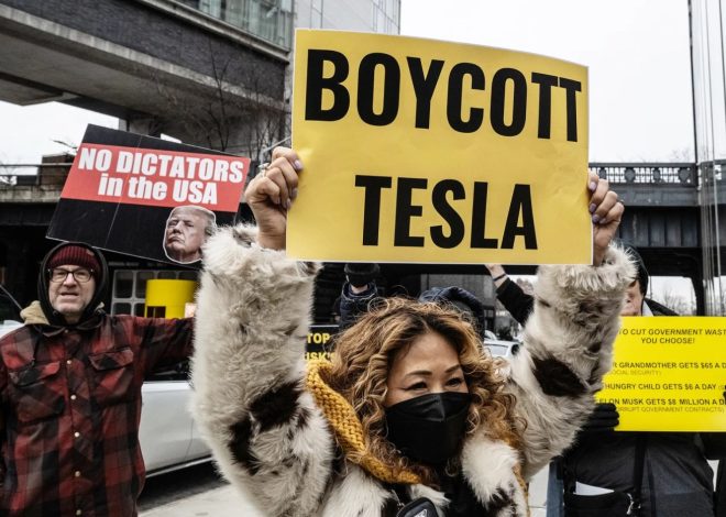 Tesla slumps below 50% share of California’s electric car market