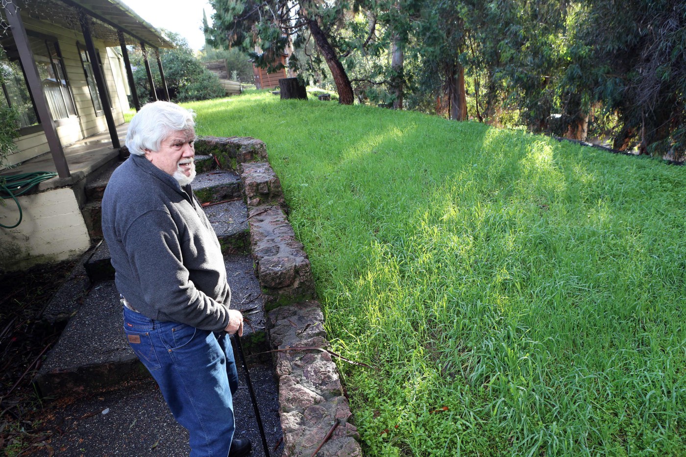 Cupertino property owners have until April 30 to abate weeds