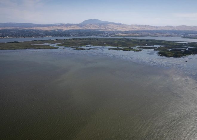 Letters: The Delta tunnels should never be built
