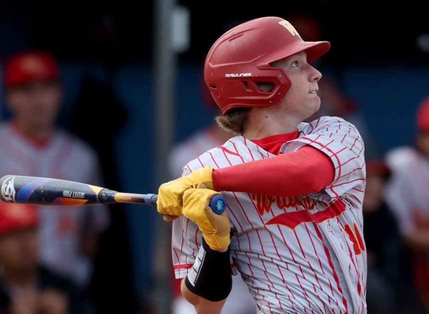 CCS roundup: Wilcox, Willow Glen advance to section baseball finals