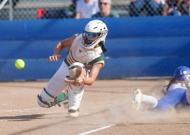 High school softball rankings, May 6, 2025: Bay Area News Group Top 20