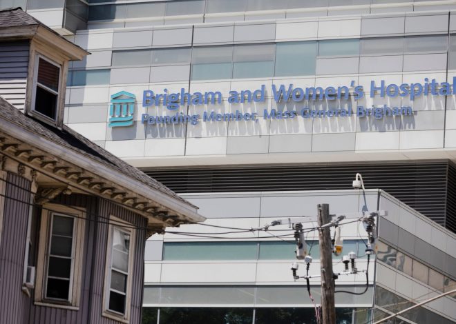 Glioblastoma brain cancer research: Study provides glimmer of hope