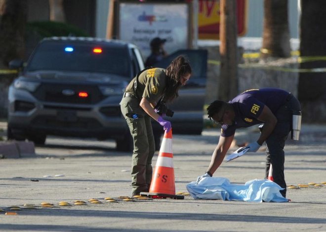 ‘Anti-natalism.’: Authorities analyzing nihilistic writings of suspect in California fertility clinic bombing