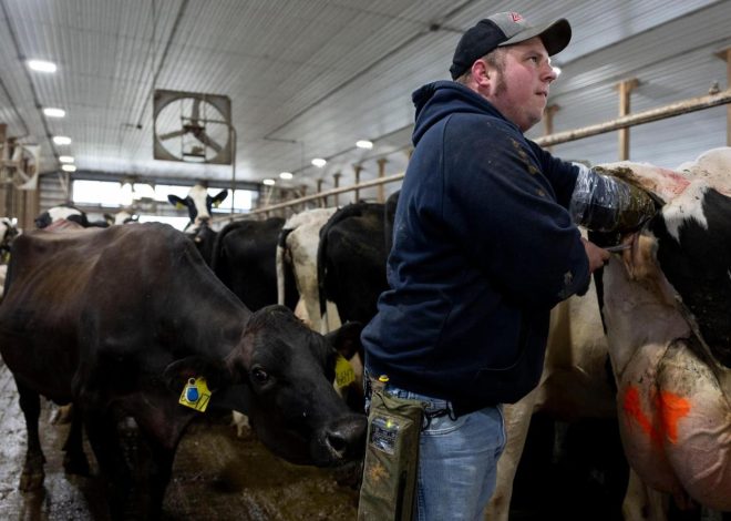 Less farmland is going for organic crops as costs and other issues take root