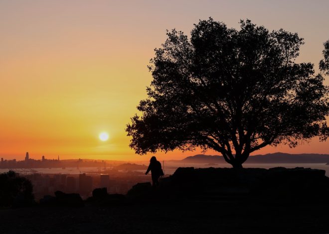 For Bay Area, a steady weather diet of warmer temps, clear skies is around the corner