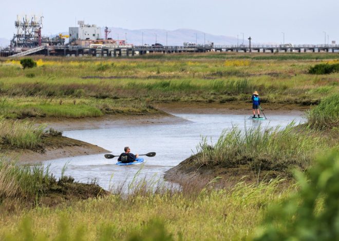 After two decades of restoration work, a crucial Bay Area habitat returns to its original natural beauty