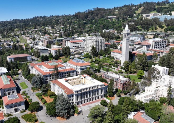 UC Berkeley Police investigate late night stabbing Saturday night