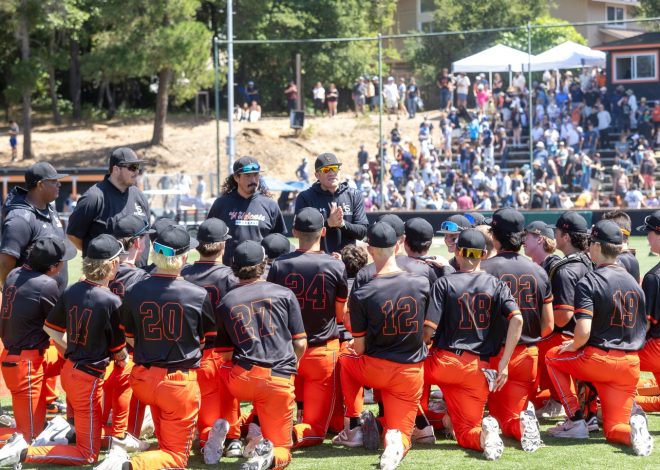 CCS baseball, softball playoffs: First-round scores in all divisions