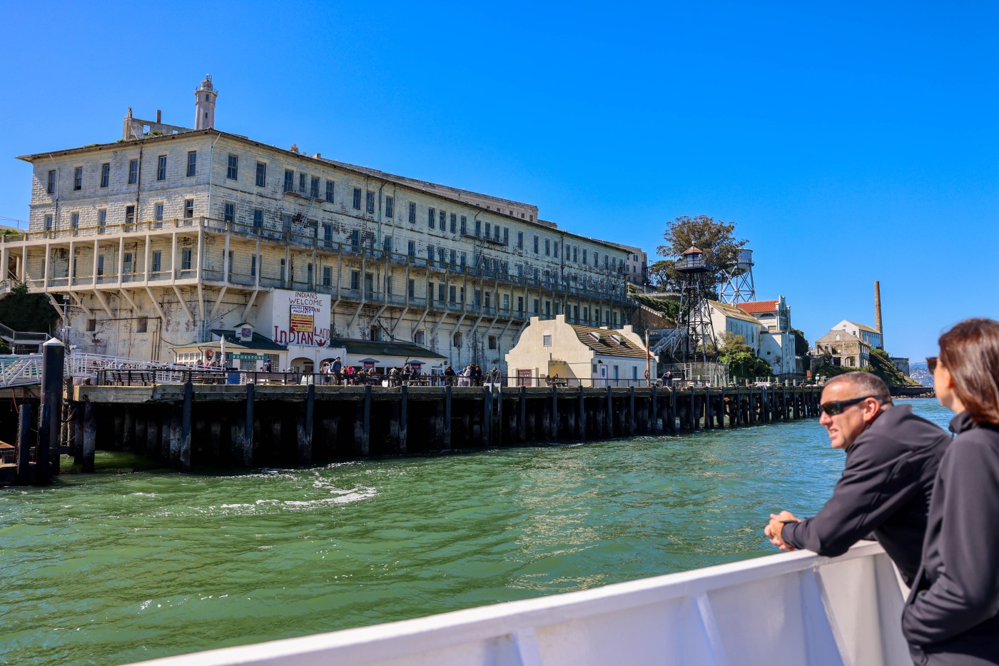 Visiting Alcatraz? These dazzling birds are worth the price of admission