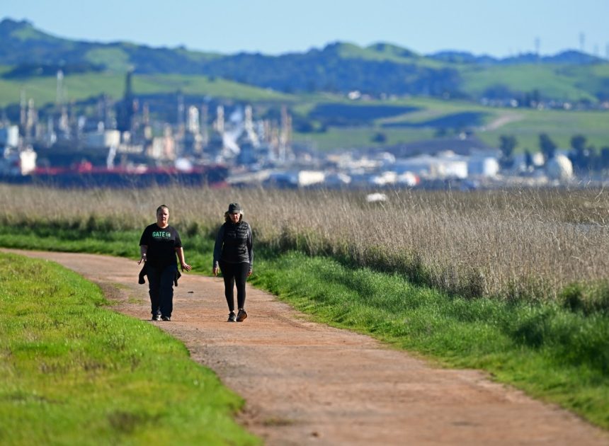 Walkabout: 5 Bay Area island hikes well worth the trek