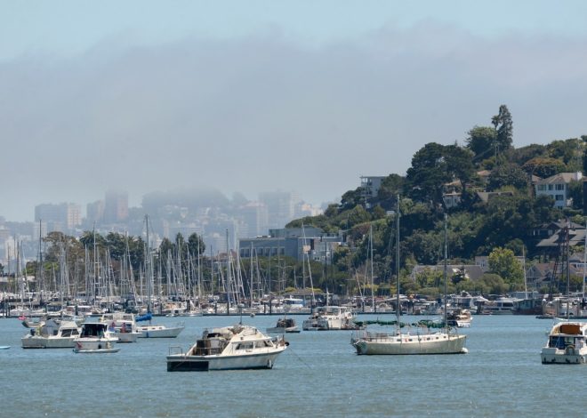 Boater avoids jail term for attacking Bay Area harbormaster