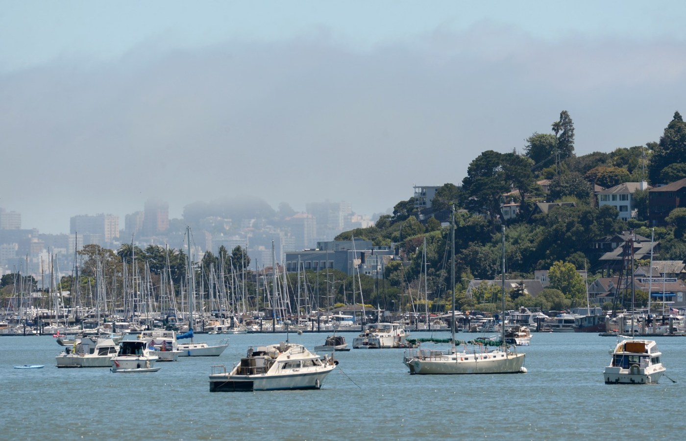 Boater avoids jail term for attacking Bay Area harbormaster