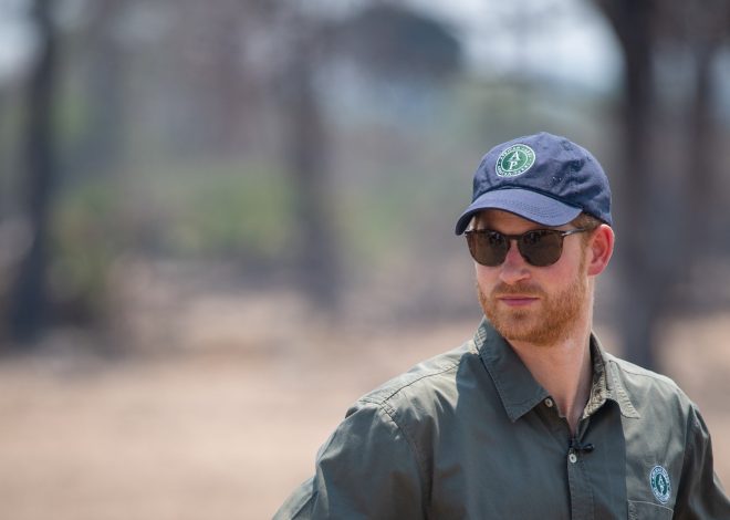 Prince Harry’s African charity admits abuses of Indigenous people