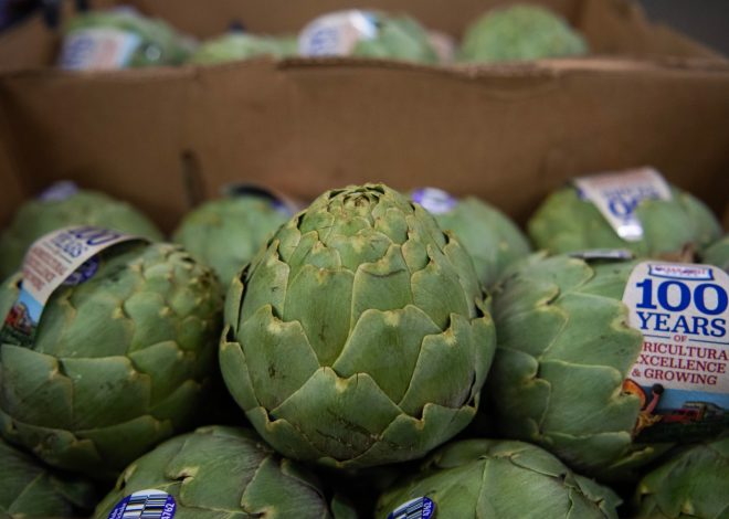 Monterey County: 2025 Artichoke Festival canceled without plans to return amid financial strain
