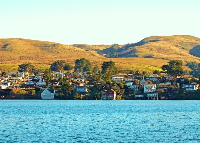 Travel: Take a pet-friendly foodie day trip to Bodega Bay
