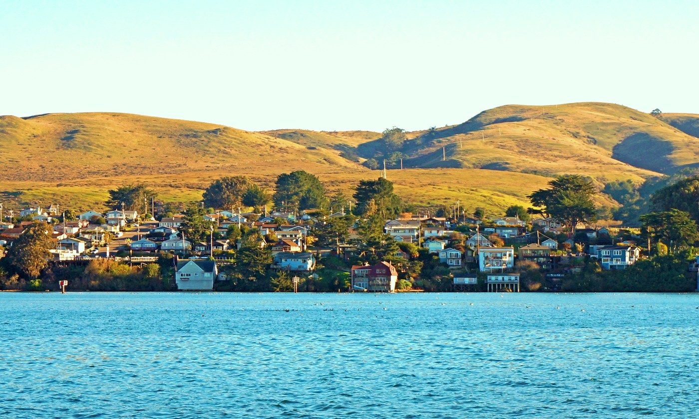 Travel: Take a pet-friendly foodie day trip to Bodega Bay