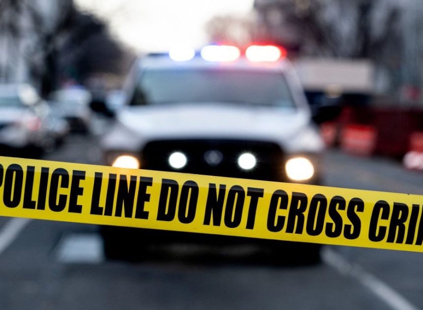 Peninsula cops fatally shoot man carrying replica gun