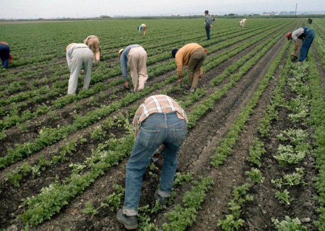 Opinion: Farmworker victory ending use of “El Cortito” 50 years ago provides empowering lesson