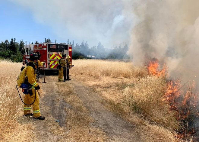 San Jose: 15-acre fire breaks out near Happy Hollow park Wednesday