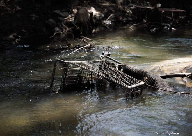 San Jose approves stricter rules to combat abandoned shopping cart epidemic