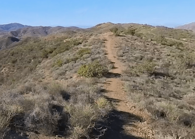 Runner dies after half-marathon in Southern California heat