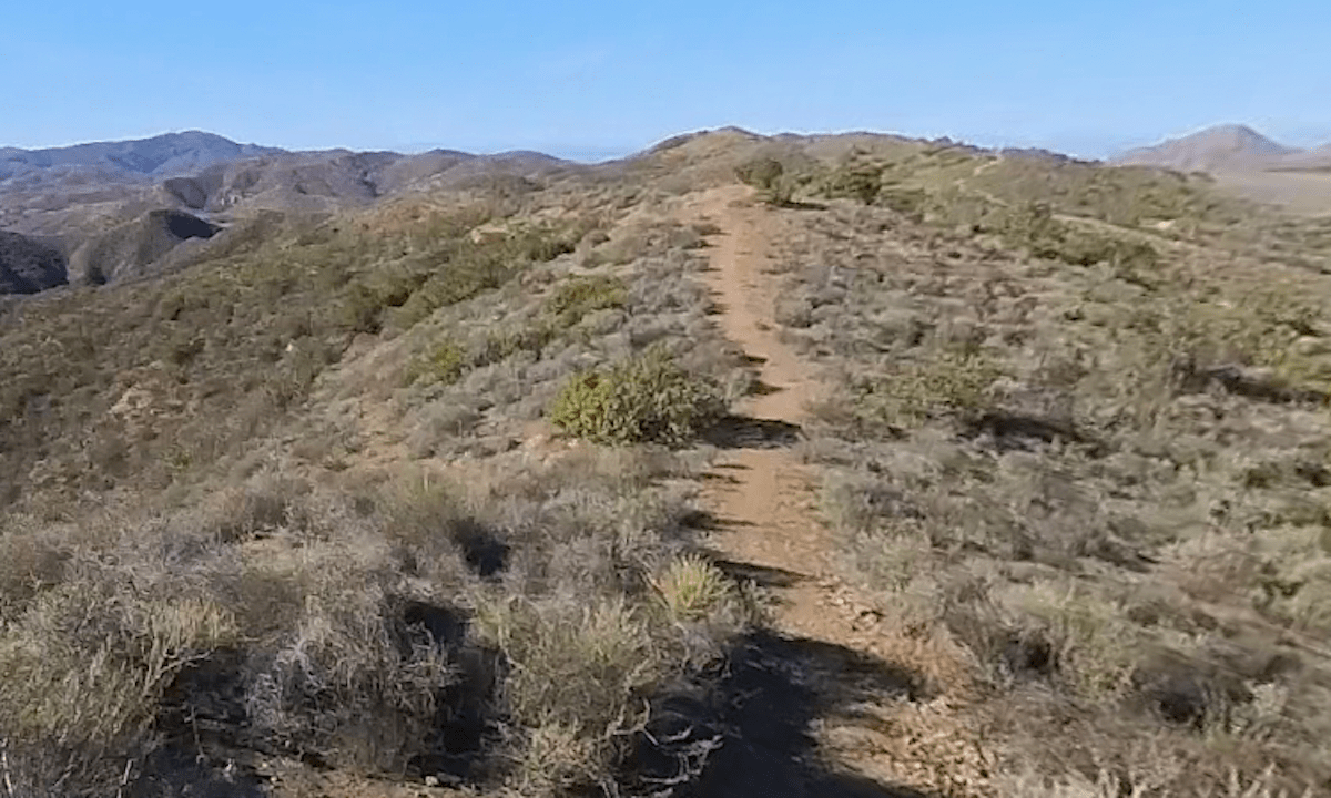 Runner dies after half-marathon in Southern California heat