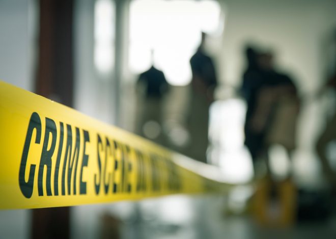 Remains found 40 years ago in Menlo Park identified as San Jose man