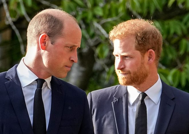 Prince William won’t let Harry and Meghan’s kids be working royals: report