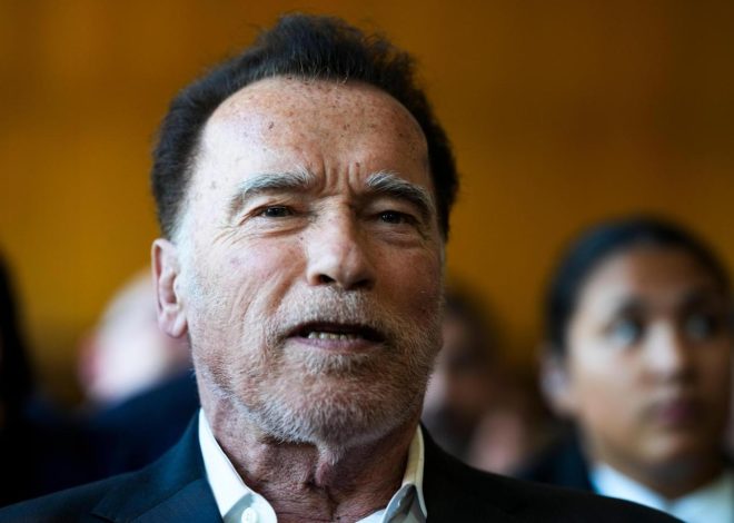 Schwarzenegger tells environmentalists to ‘stop whining’