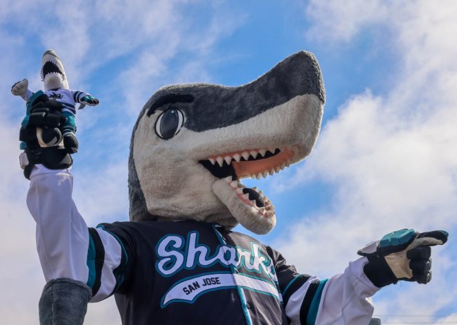 S.J. Sharkie of San Jose Sharks given ultimate honor — for a mascot