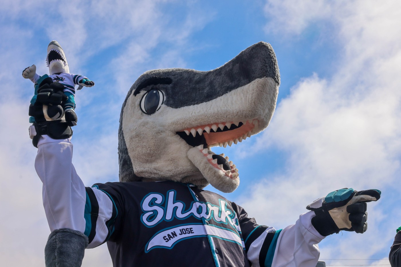 S.J. Sharkie of San Jose Sharks given ultimate honor — for a mascot