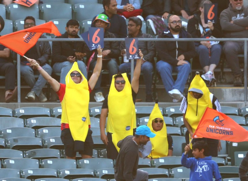 Fans go bananas for San Francisco Unicorns’ first-ever Major League Cricket game at Oakland Coliseum